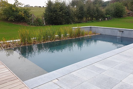 Aménagement de piscine naturelle et de piscine traditionnelle