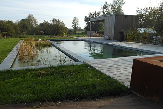 Construction d'une piscine naturelle à Namur et dans le brabant Wallon